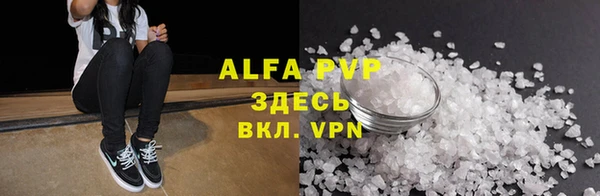 гидра Новозыбков