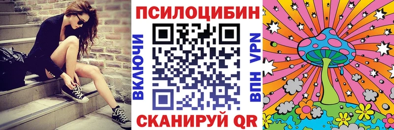 Псилоцибиновые грибы Psilocybe  как найти   Оленегорск 